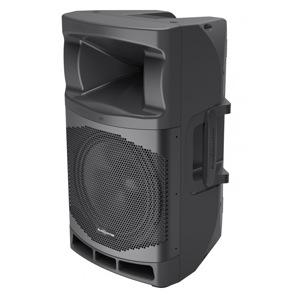 Audiocenter MA12 активная акустическая система в Малой Вишере