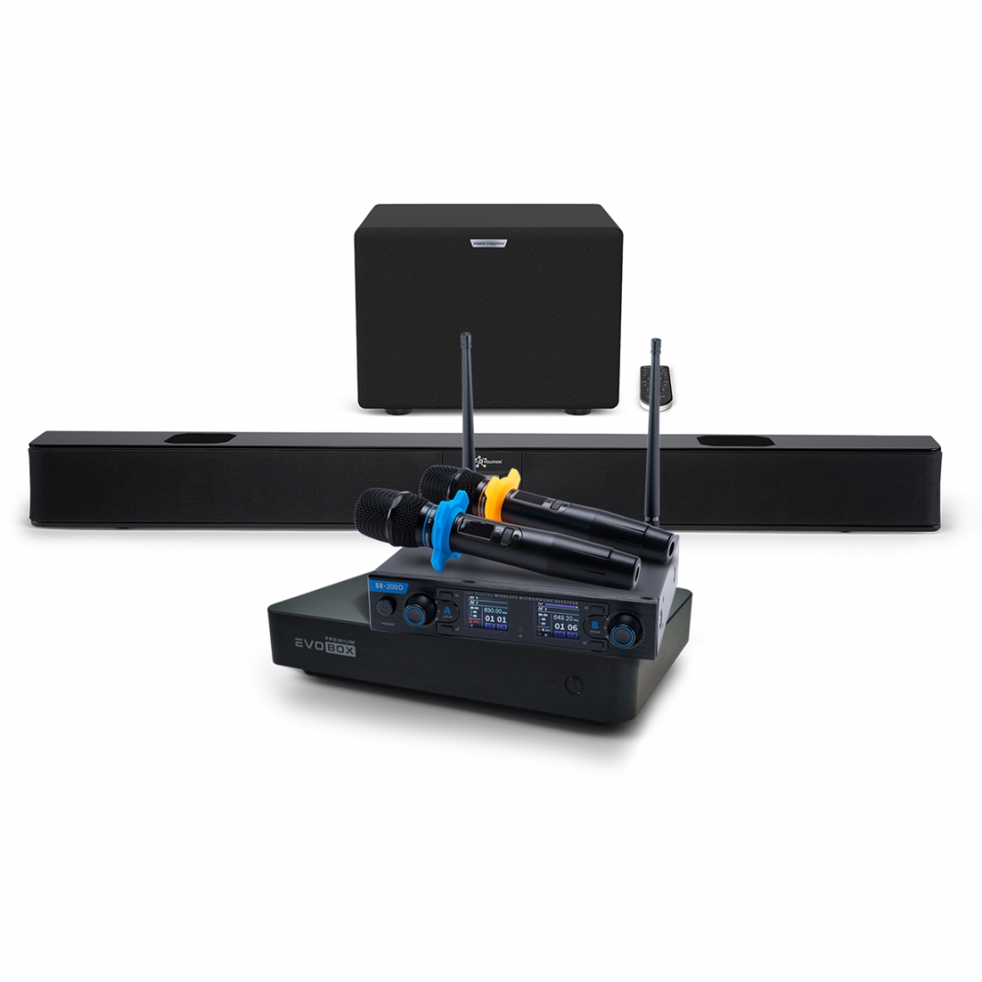 Hi-End караоке-система EVOBOX Premium + EvoSoundBar (саундбар с караоке) в Малой Вишере