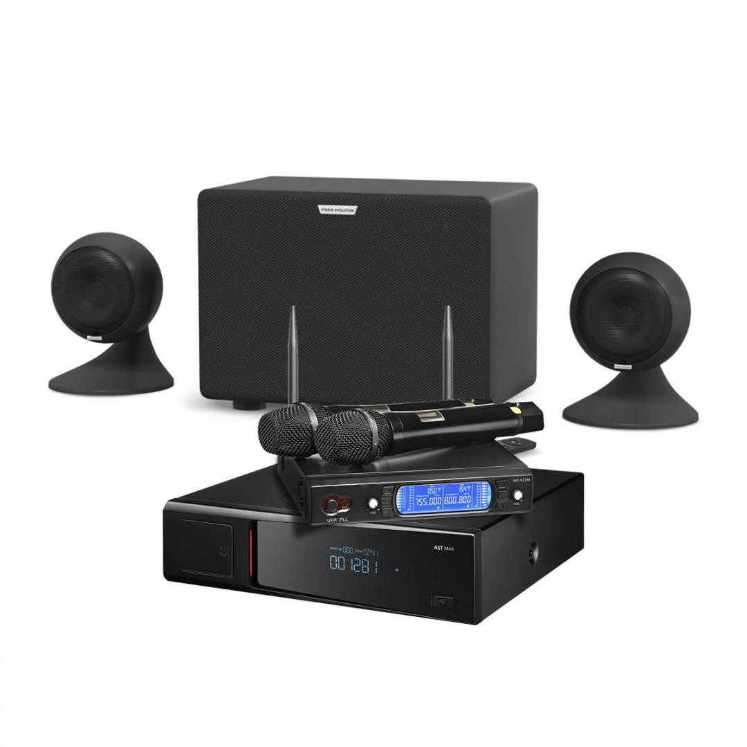 караоке-комплект AST Mini Sound Sphere в Малой Вишере