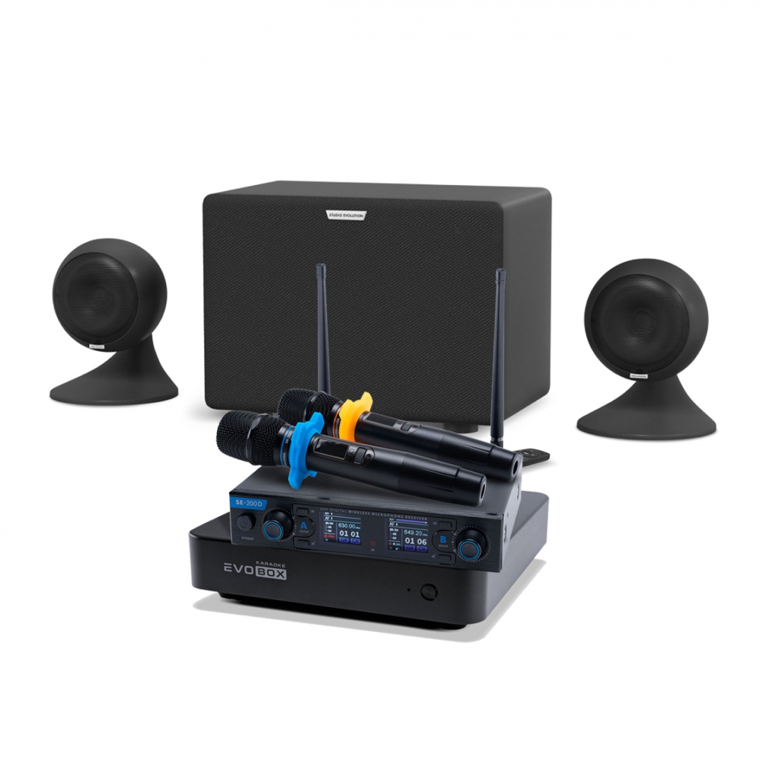 караоке-комплект EVOBOX + EvoSound Sphere 2.1 в Малой Вишере