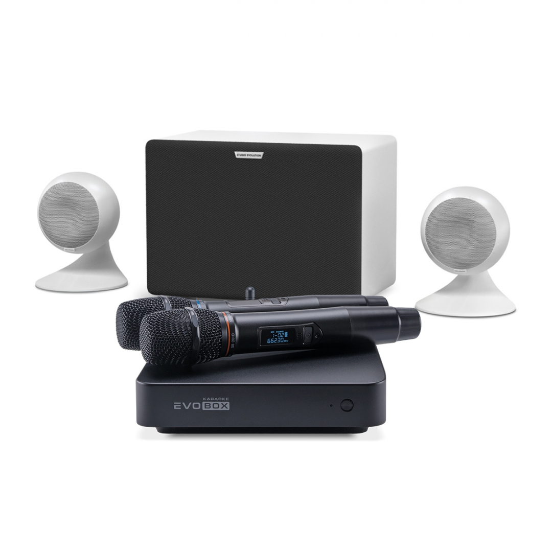 караоке-комплект EVOBOX Classic + EvoSound Sphere 2.1 в Малой Вишере