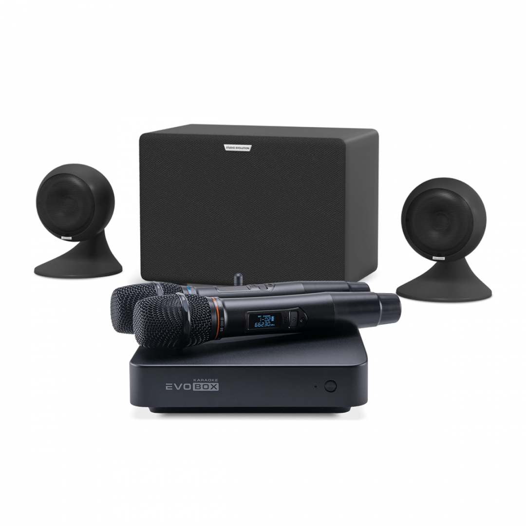 караоке-комплект EVOBOX Plus + EvoSound Sphere 2.1 в Малой Вишере