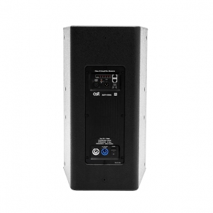 Активная акустическая система AST-310A в Малой Вишере