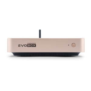 EVOBOX Classic караоке-система для дома в Малой Вишере
