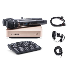 EVOBOX Classic караоке-система для дома в Малой Вишере