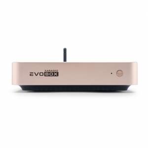 EVOBOX Plus караоке-система для дома в Малой Вишере