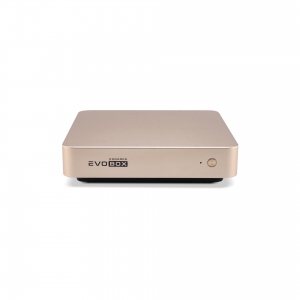 EVOBOX с микрофонами в Малой Вишере