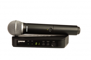 SHURE BLX24E/PG58 M17 вокальная радиосистема в Малой Вишере